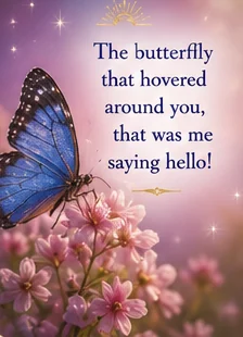Card reading: The butterfly that hovered around you, that was me saying hello.