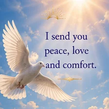 Card reading: I send you peace, love and comfort.