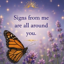 Card reading: Signs from me are all around you.